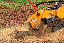 Best Fruit Tree Pruning  in Ballston Spa, NY